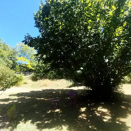 L'épi De Blé Saint-Astier (Dordogne)